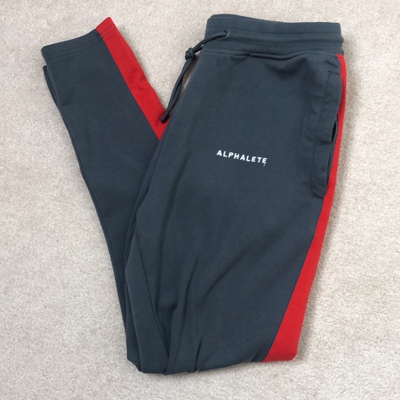 Men’s Alphalete Quad Joggers - Picture 6 of 7
